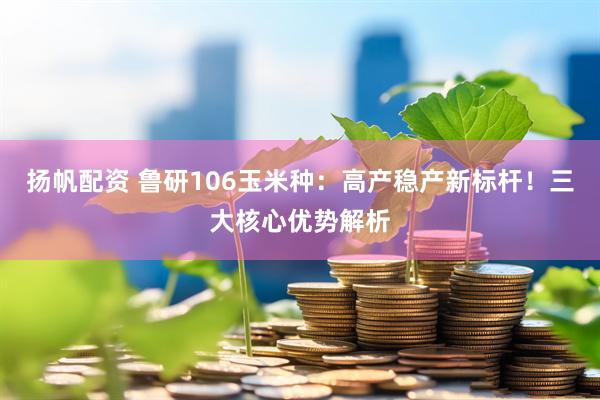 扬帆配资 鲁研106玉米种：高产稳产新标杆！三大核心优势解析