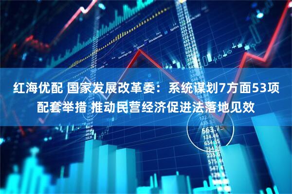 红海优配 国家发展改革委：系统谋划7方面53项配套举措 推动民营经济促进法落地见效