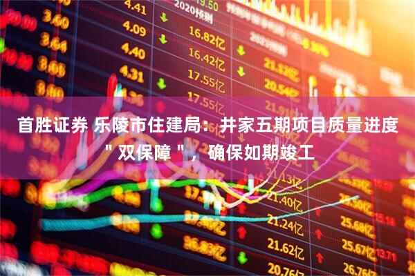 首胜证券 乐陵市住建局：井家五期项目质量进度＂双保障＂，确保如期竣工