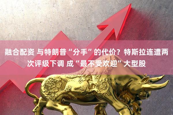 融合配资 与特朗普“分手”的代价？特斯拉连遭两次评级下调 成“最不受欢迎”大型股