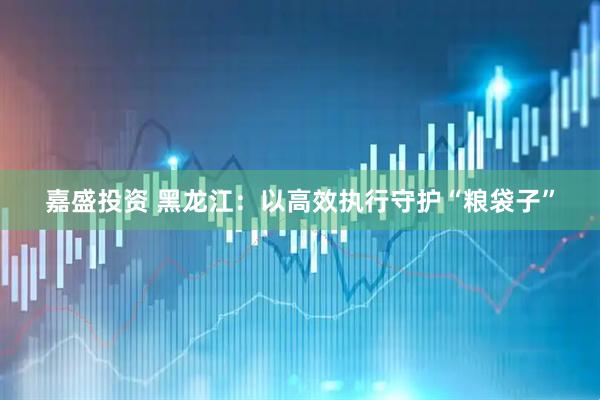 嘉盛投资 黑龙江：以高效执行守护“粮袋子”