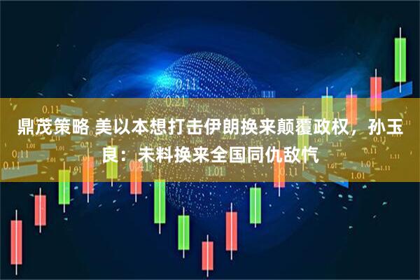 鼎茂策略 美以本想打击伊朗换来颠覆政权，孙玉良：未料换来全国同仇敌忾
