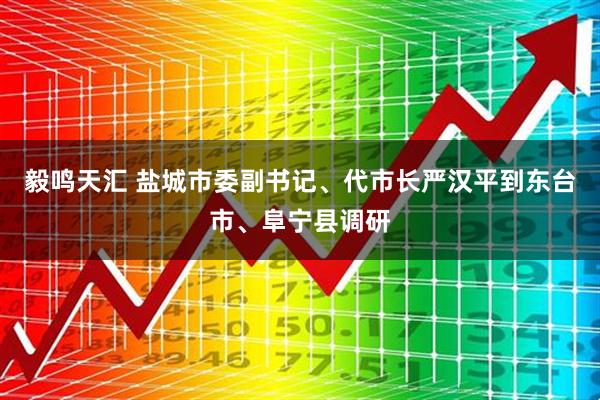 毅鸣天汇 盐城市委副书记、代市长严汉平到东台市、阜宁县调研