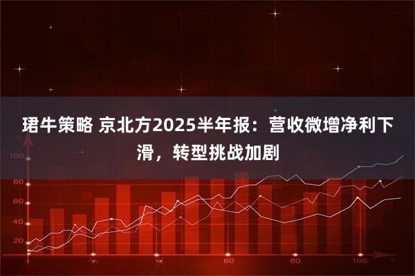 珺牛策略 京北方2025半年报：营收微增净利下滑，转型挑战加剧