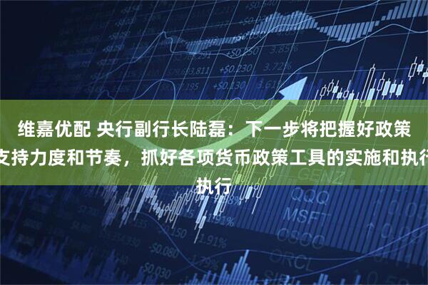 维嘉优配 央行副行长陆磊：下一步将把握好政策支持力度和节奏，抓好各项货币政策工具的实施和执行