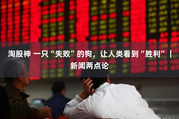 淘股神 一只“失败”的狗，让人类看到“胜利”｜新闻两点论