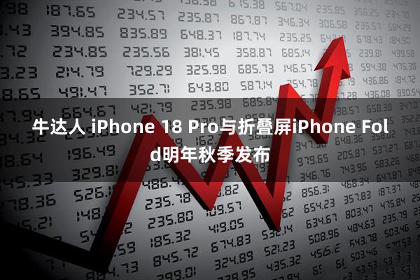 牛达人 iPhone 18 Pro与折叠屏iPhone Fold明年秋季发布