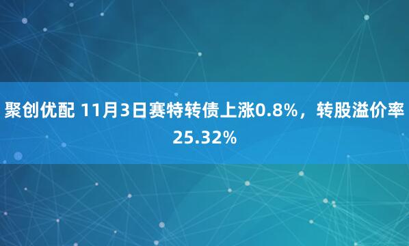 聚创优配 11月3日赛特转债上涨0.8%，转股溢价率25.32%