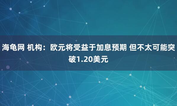 海龟网 机构：欧元将受益于加息预期 但不太可能突破1.20美元