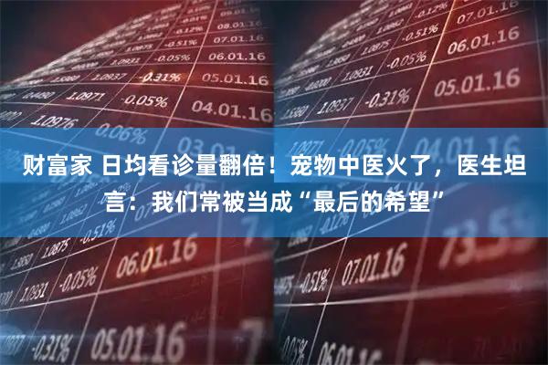 财富家 日均看诊量翻倍！宠物中医火了，医生坦言：我们常被当成“最后的希望”
